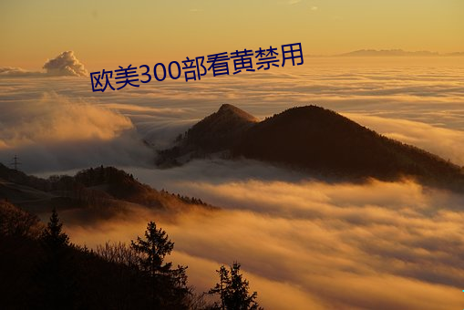 欧美300部(部)看黄禁用
