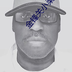 金锋关小柔小(xiǎo)说