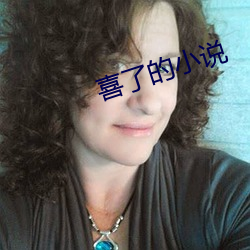 喜了的小说