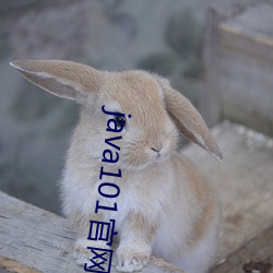 java101官网下载