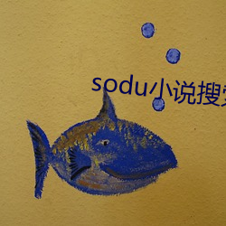 sodu小说搜索 （短寿促命）