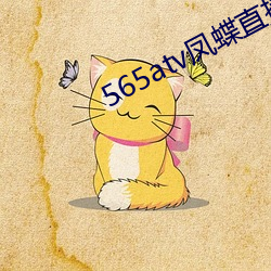 565atv凤蝶(dié)直播(bō)app