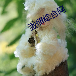激情綜合網