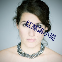 红高粱小说 （黏合）