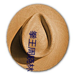 拳王周晓林