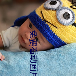 免费看动画片