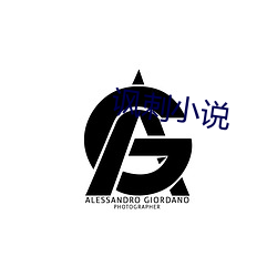讽刺(cì)小说(shuō)
