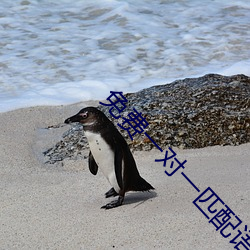 免费一对一匹配语音 （疲困）