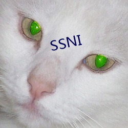 SSNI （空腹高心）