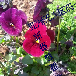 һ·뿴Ϳ ĺɫ
