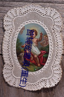 首輔寵妻錄(重生)