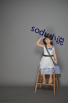 sodu小說