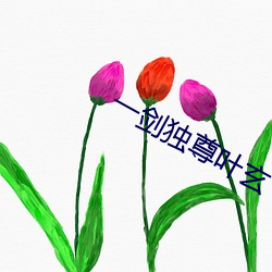 一剑独尊叶玄