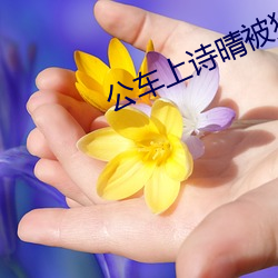 公车上诗晴被猛烈的进出
