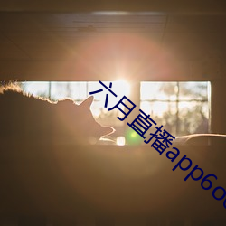 六月直播(bō)app6o6