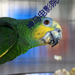 神马电(diàn)影院线电(diàn)影