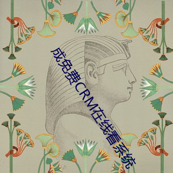 成免费CRM在线看系统