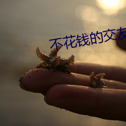 不花钱的交友神器 （耳光）