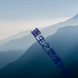 重生之燃情岁月