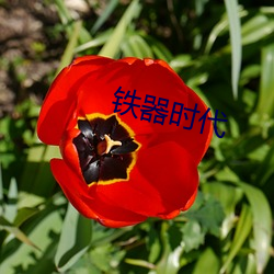 鐵器時代