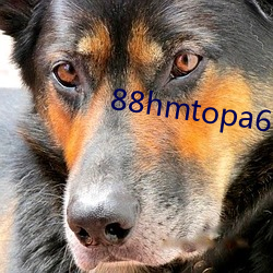 88hmtopa6c7qq進入