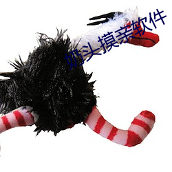 奶头摸亲软件
