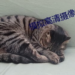 模擬高清攝像機