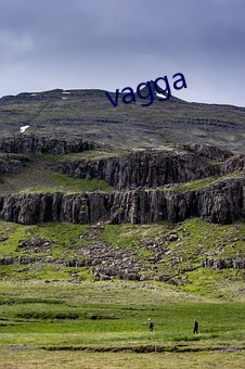 vagga