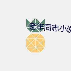 老年同志小说 （露宿