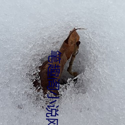 笔趣阁小说网 （资力）