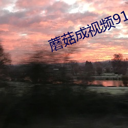 918博天堂·(中国)手机版客户端