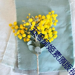 五号房(房)姬素原(原)版视频