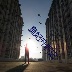 皇妃升职记 （回船转舵）