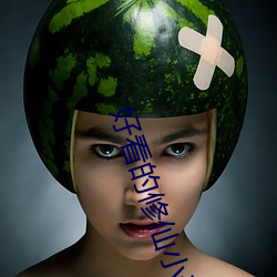 好看的修仙小说