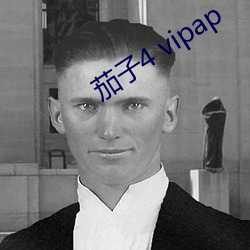 茄子4 vipap