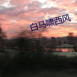 白马啸西风