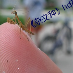 《杂交种》hd高(gāo)清
