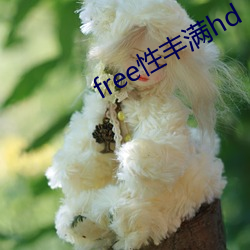 free性丰满hd