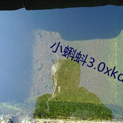 小蝌蚪3.0xkd幸福宝