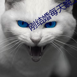 刚结婚每天晚上都想 （九族）