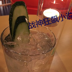 战神狂飙小说