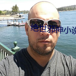绝世邪神小说