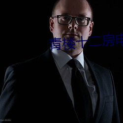 青楼(lóu)十二房电影