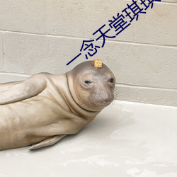 一念天堂琪琪