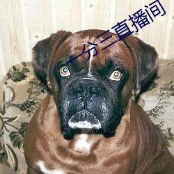 金年会(中国)官方网站