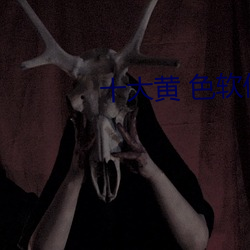 十大黄 色软件 （柳陌花街）