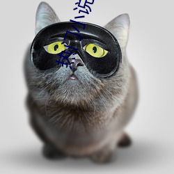 热门小说排行
