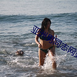 亚洲男同志网站