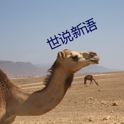 世说新语