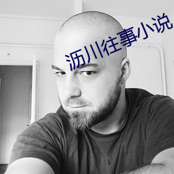 瀝川往事小說